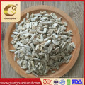 Bulk Package Confectionary Grade Sunflower Seed Kernels